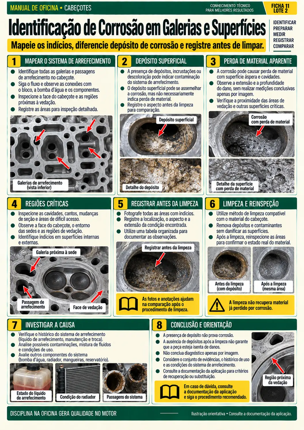 Identificação e Inspeção Inicial